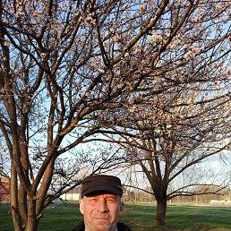 ���� ��������, ���������, 67 ��� - ��������� 12 ������� 2026