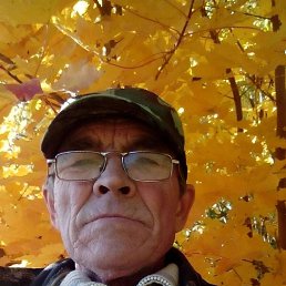 , 65, 