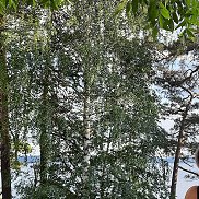 , 40 , 