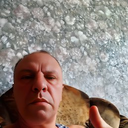 , 42, 