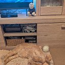 ���� �����, ������, 53 ���� - ��������� 22 ������ 2025 � ������ ������ ��������