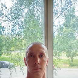  , 41, 