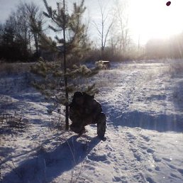 ���� ������., ������, 37 ��� - ��������� 26 ������ 2026