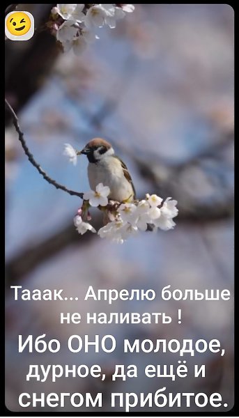   - 11  2025  22:02
