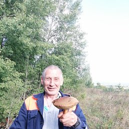 ������, 61 ���, �������