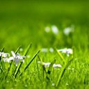 ���� �����, �������, 63 ���� - ��������� 26 �������� 2024 � ������ ���� ����������