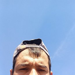 , 37, 
