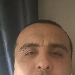 �����, �����-��������, 40 ���