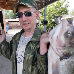 �������, 49 ���, ��������