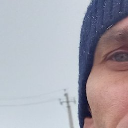 ����, ������, 39 ���