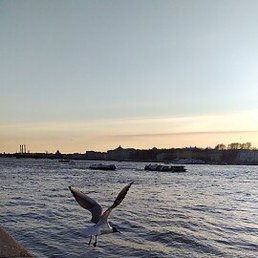 ����, �����-���������, 28 ���