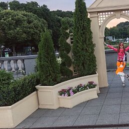 �����, ������, 38 ���