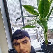 , 24 , 