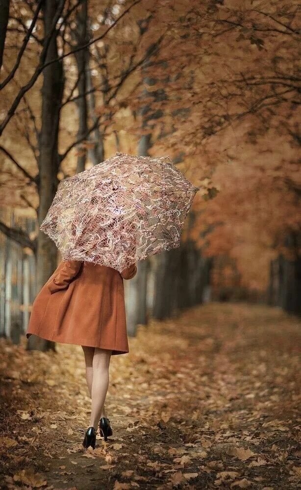  ... ..  ,  ...    ... ...