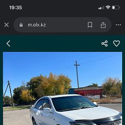 ������, ���������, 40 ���