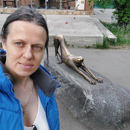 , 23 , -