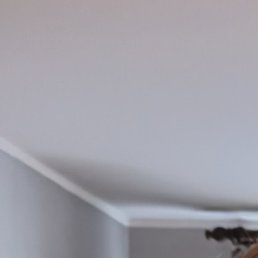 �����, ������, 29 ���