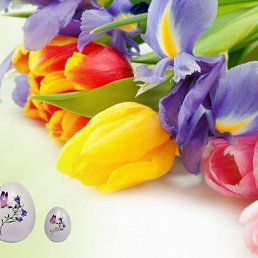 ���� Alec, �������, 47 ��� - ��������� 21 ������ 2025