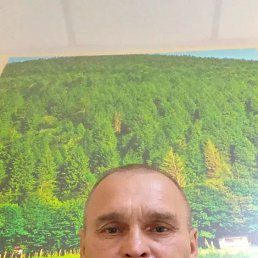 ������, 49 ���, ����