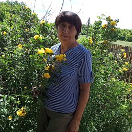 , 65, 