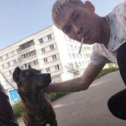 , 29,  