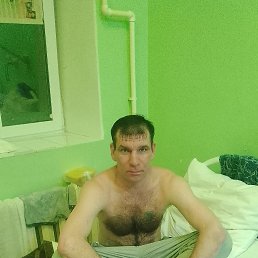 ���� ������ ����, ����������, 44 ���� - ��������� 12 ������ 2024