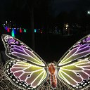 ���� �����, ����, 60 ��� - ��������� 31 ������ 2026 � ������ ������