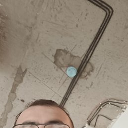 , 30, 