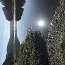 ���� ����, ������ �����, 41 ��� - ��������� 29 ������� 2025 � ������ ���� ����������