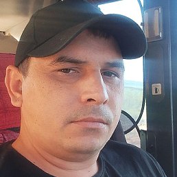 �����, ����, 35 ���