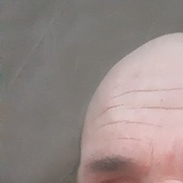 ������, ������, 44 ����