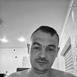 , 37, 