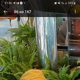 ������, ������, 51 ���