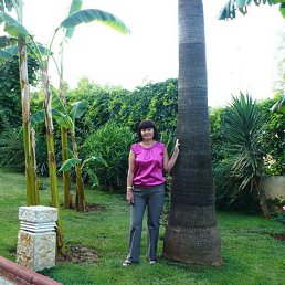 , 52, 