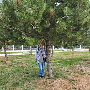 VeraValentinovna, 61 ���, ���������