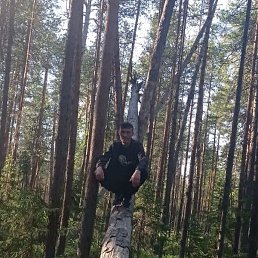 �����, �����-���������, 34 ����