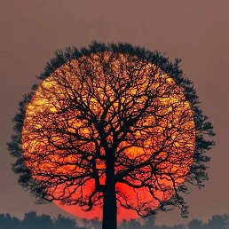 ���� Levin, ������, 50 ��� - ��������� 1 ������� 2026