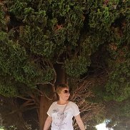 ������, 50 ���, ������������