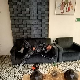 �����, �������, 37 ���