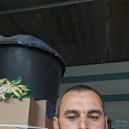 , 34, 