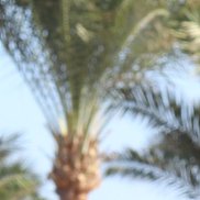 �������, 37 ���, ����