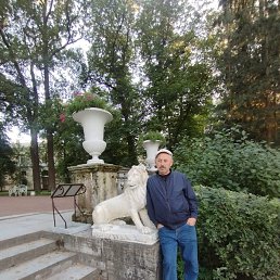 , 56, 