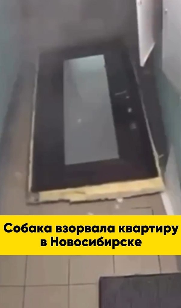 ������ �������� �������� � ������������. ������ ������� �� ����� ��������� ���������, ����� ������ ... - 2
