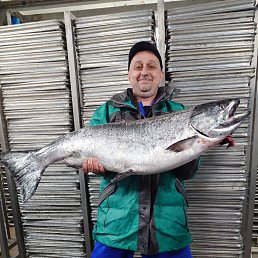 �����, 47 ���, ������