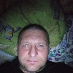 , 43,  