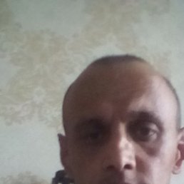 , 46 , 