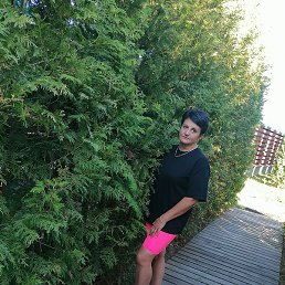 ��������, ���������, 53 ����