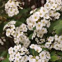 ���� �������, ������� - ��������� 18 ���� 2025 � ������ ���� ����������