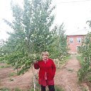 ���� ����, ���������, 59 ��� - ��������� 28 ������� 2024 � ������ ���� ����������