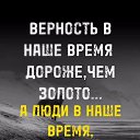   , , 50  -  3  2025    